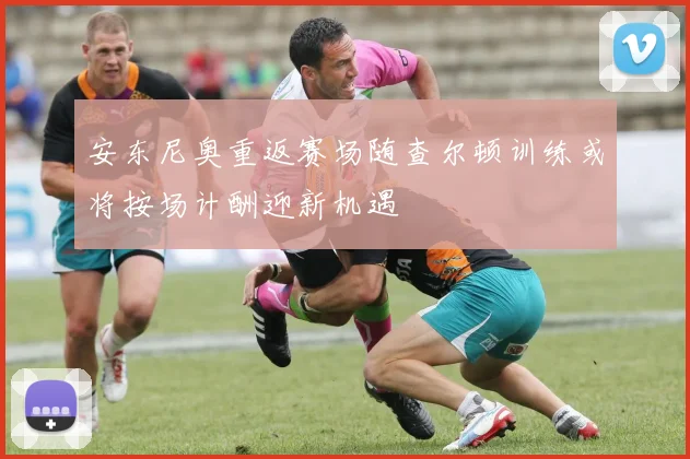 安东尼奥重返赛场随查尔顿训练或将按场计酬迎新机遇