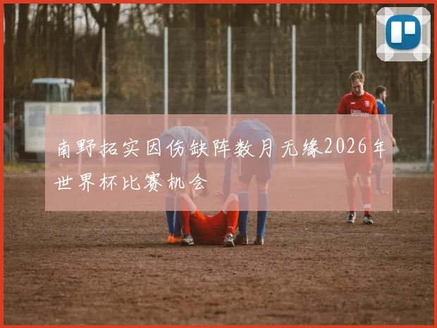 南野拓实因伤缺阵数月无缘2026年世界杯比赛机会