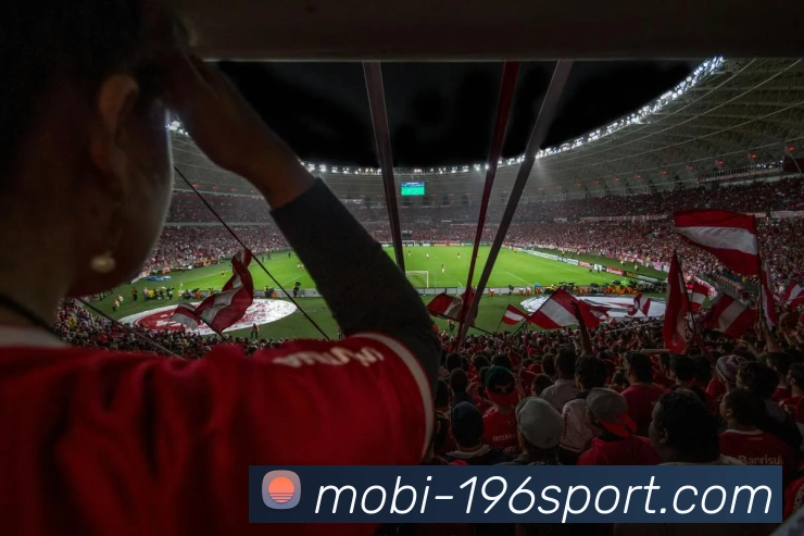 196体育服务体系